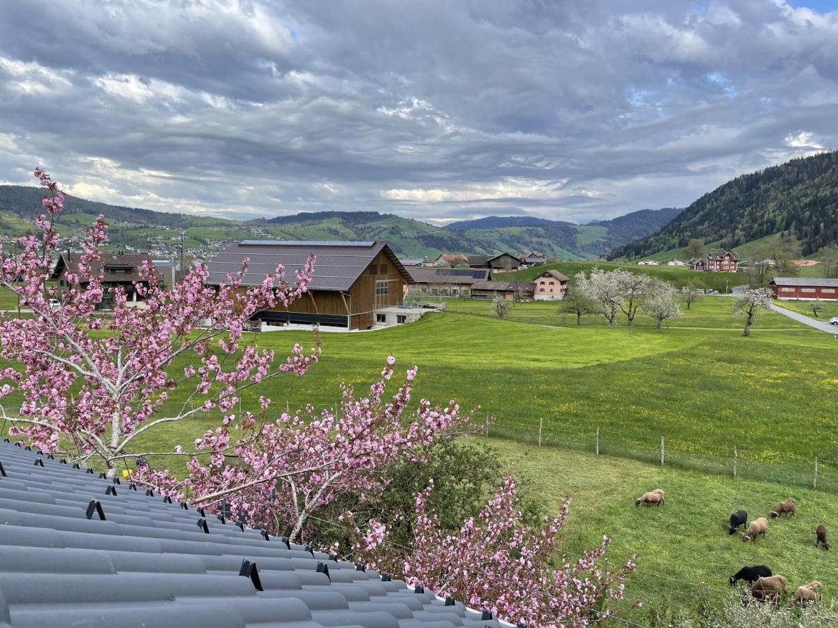 Naturnoech Unterageri ภายนอก รูปภาพ
